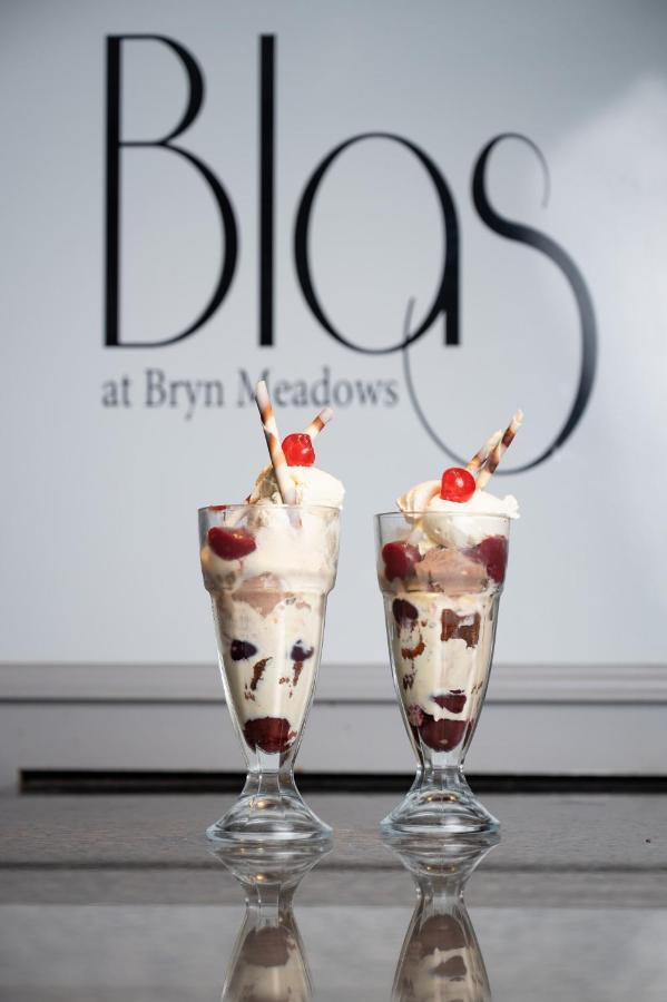 Bryn Meadows Golf, Hotel & Spa Blackwood  Zewnętrze zdjęcie